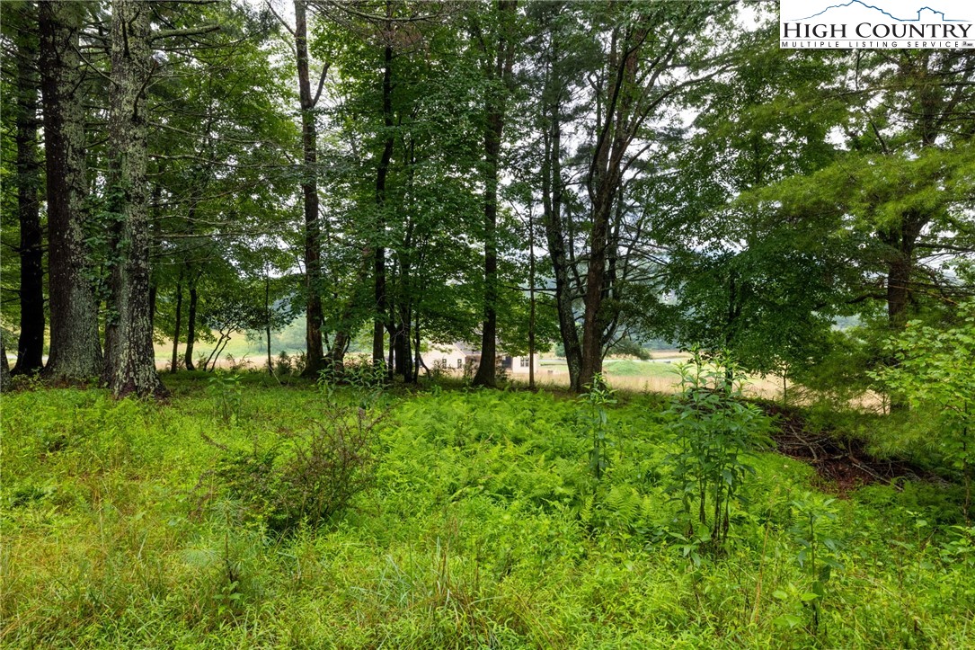 TBD ( lot 11) Tecumseh Lane