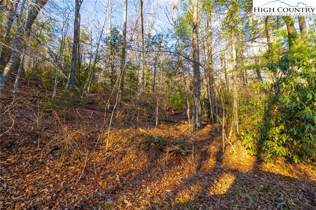 TBD 1.22 Oak Knob Trail