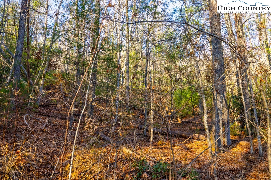 TBD 1.22 Oak Knob Trail