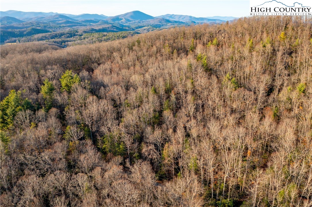 TBD 1.22 Oak Knob Trail