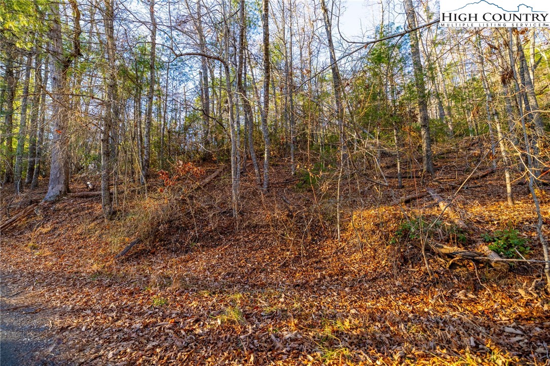 TBD 1.22 Oak Knob Trail