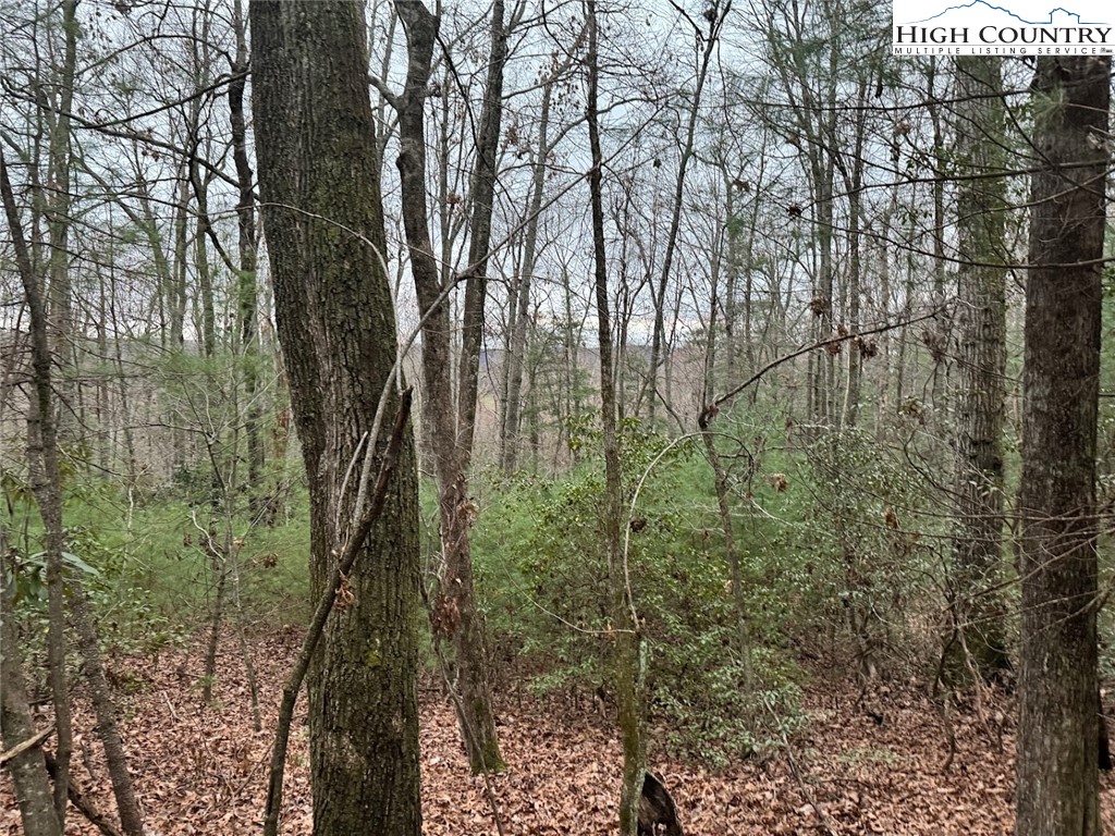 TBD 1.22 Oak Knob Trail