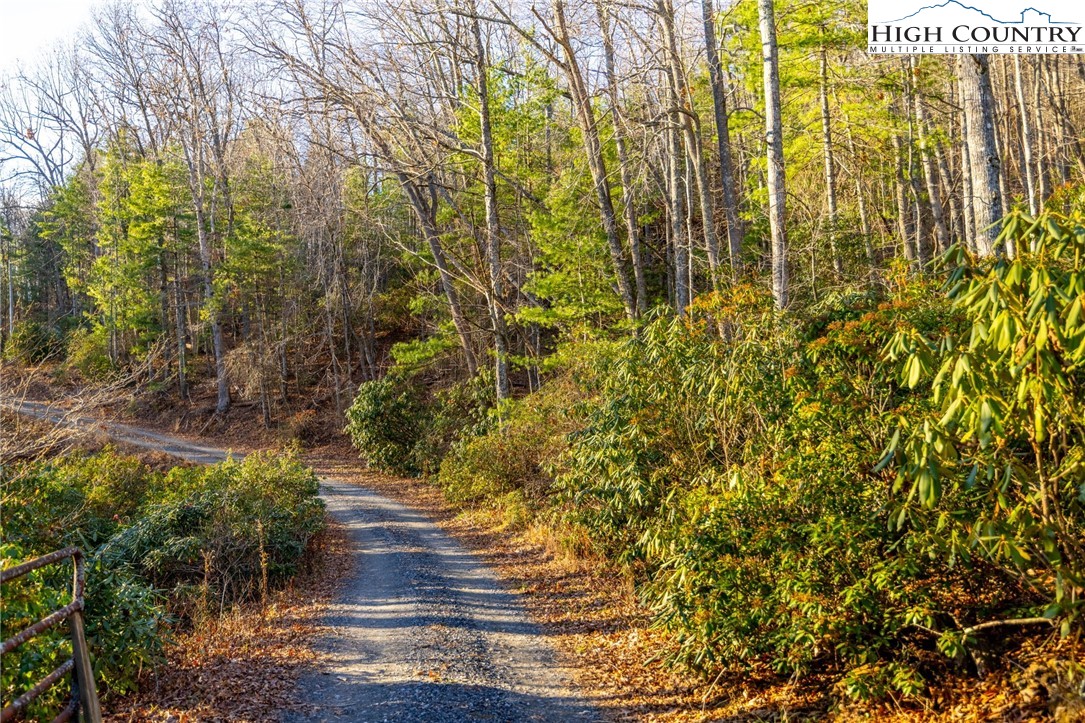 TBD 1.22 Oak Knob Trail