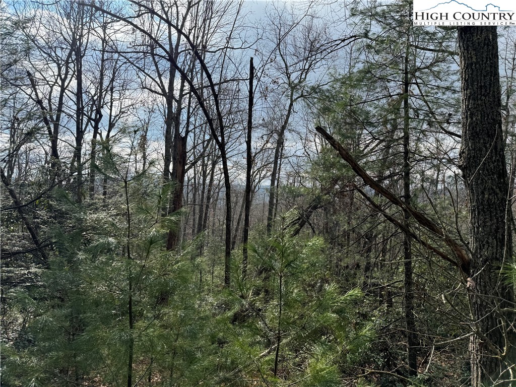 TBD 1.22 Oak Knob Trail