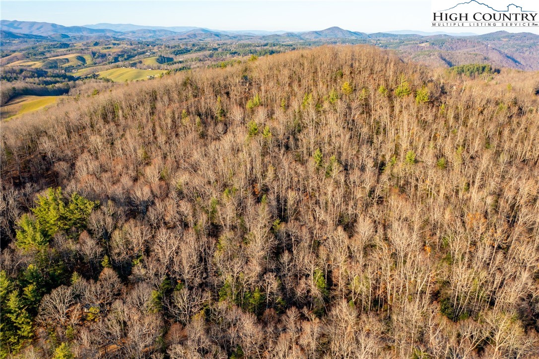 TBD 1.22 Oak Knob Trail