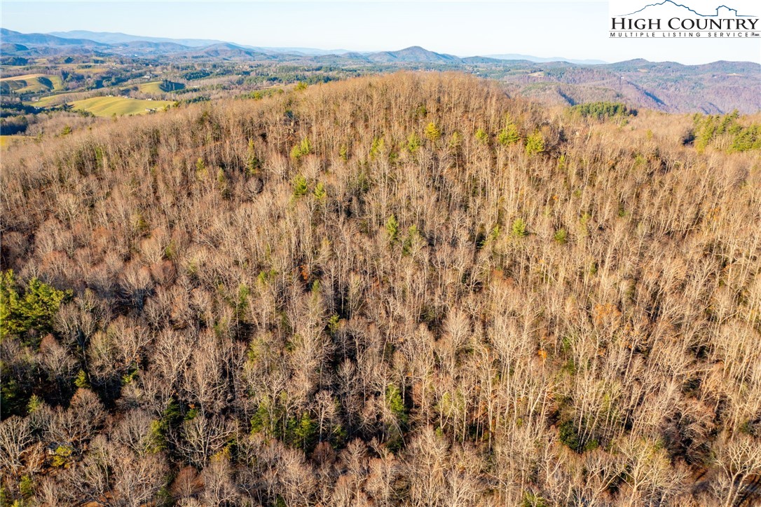 TBD 1.22 Oak Knob Trail