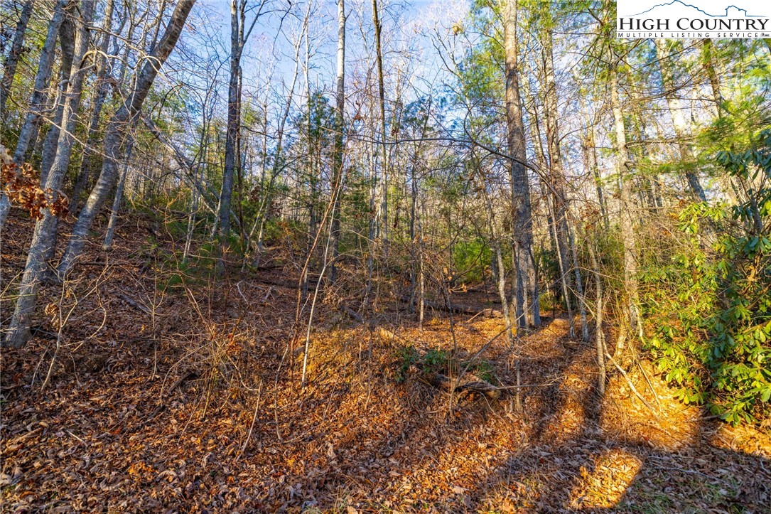 TBD 1.22 Oak Knob Trail