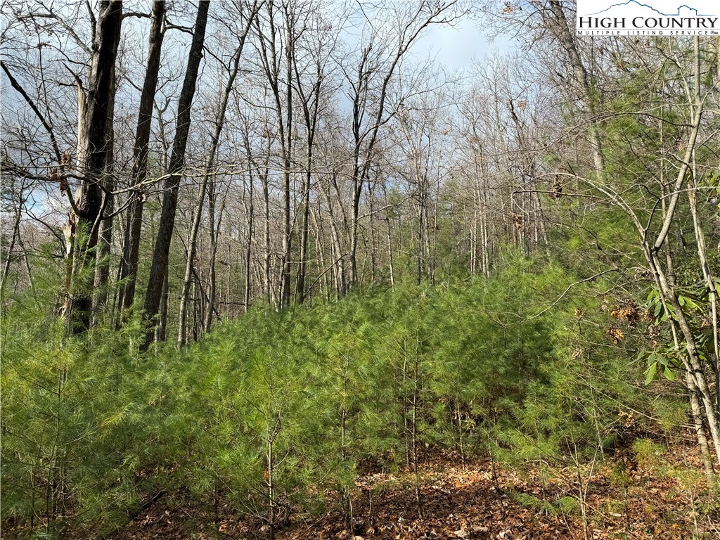 TBD 1.22 Oak Knob Trail