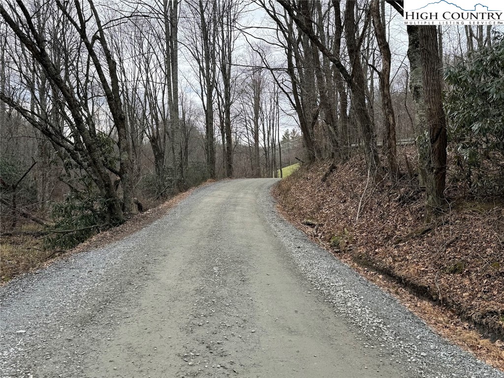 TBD Bald Mountain Road