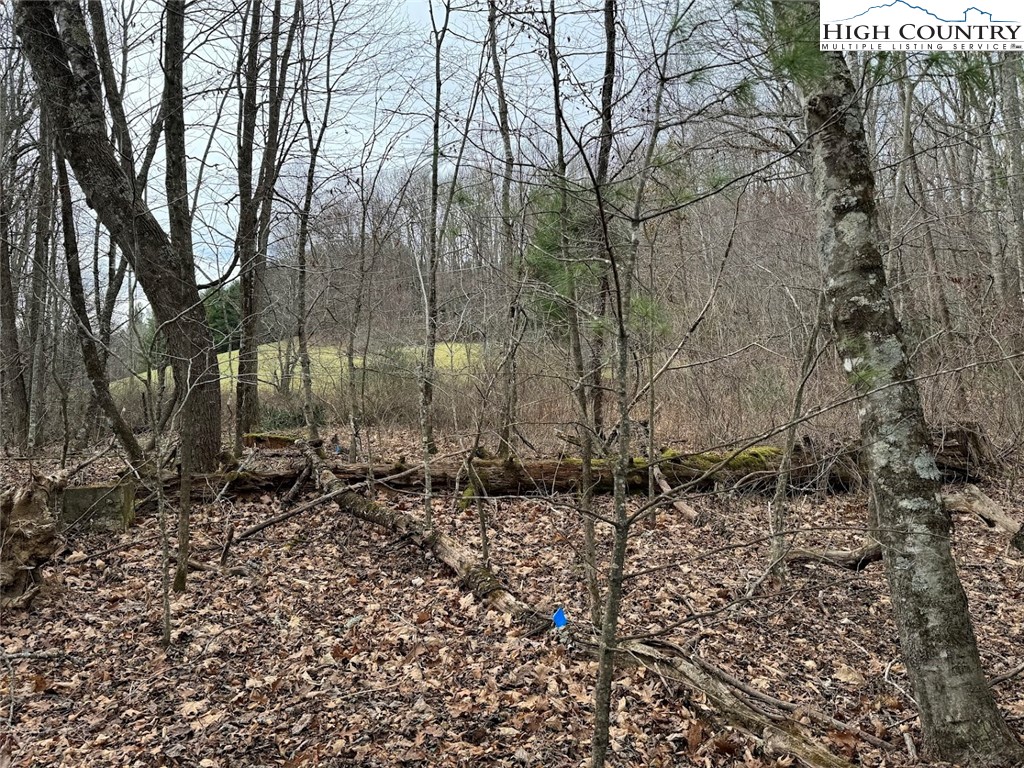 TBD Bald Mountain Road