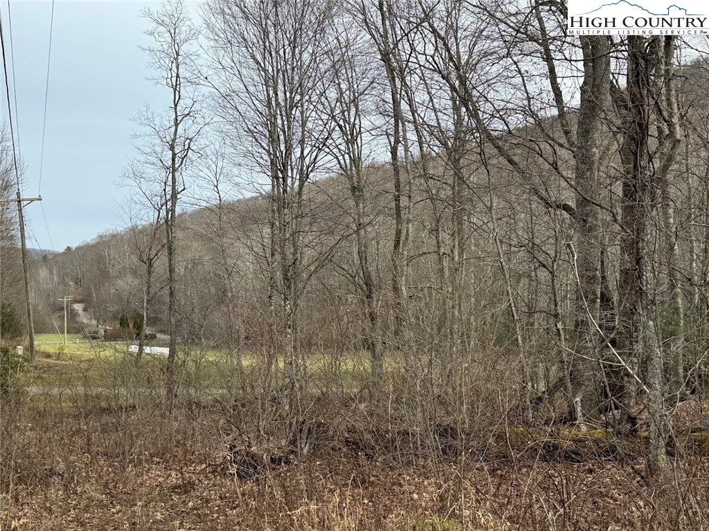 TBD Bald Mountain Road