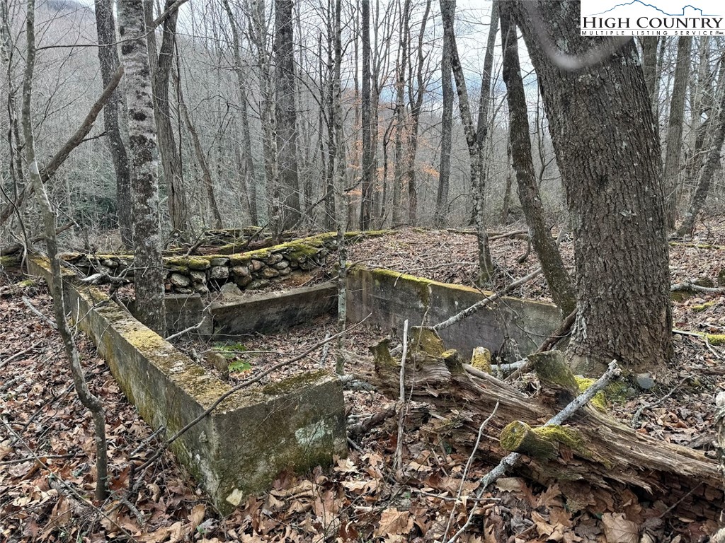 TBD Bald Mountain Road