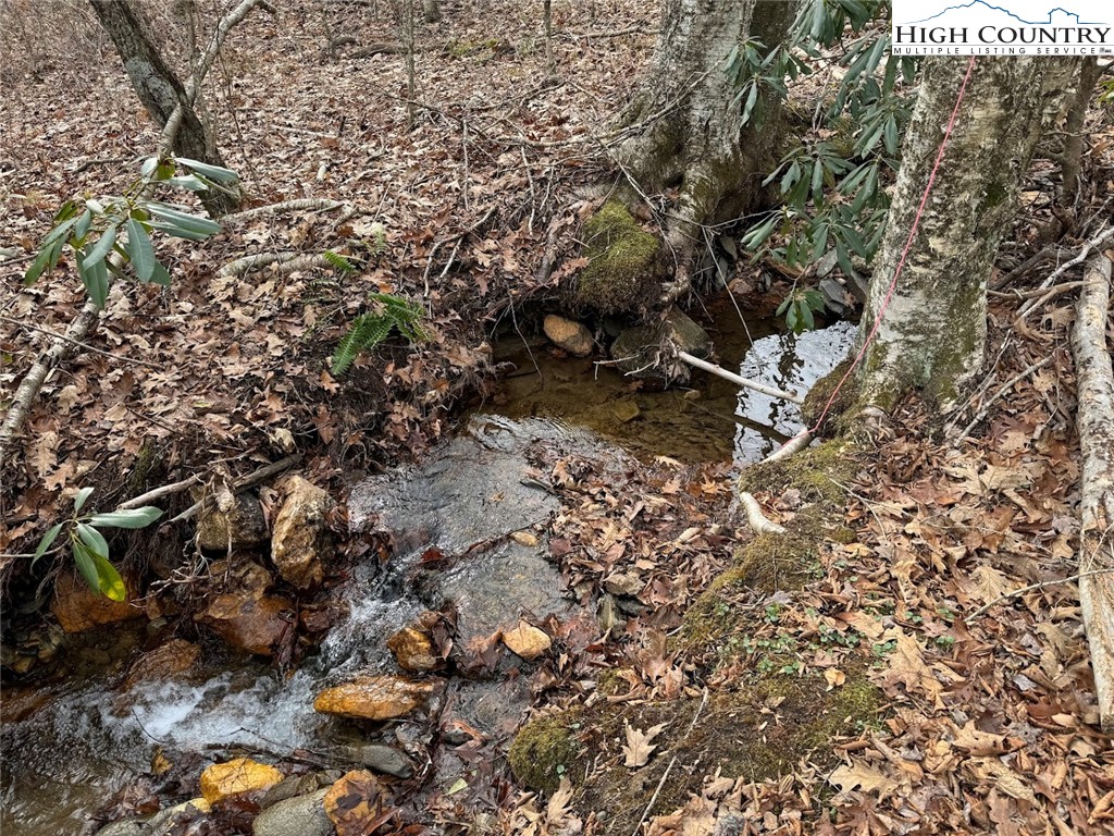 TBD Bald Mountain Road