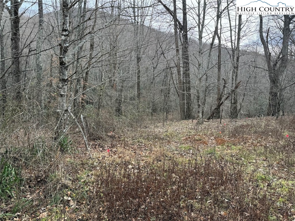 TBD Bald Mountain Road