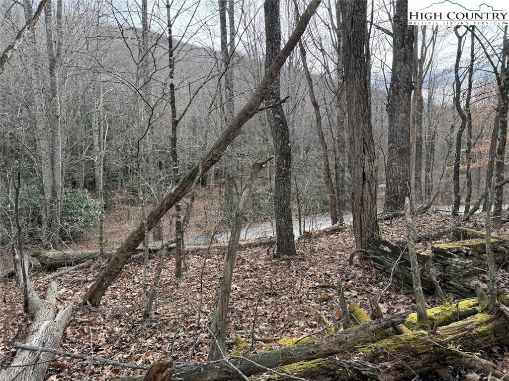 TBD Bald Mountain Road