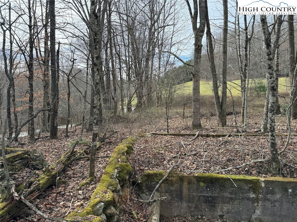 TBD Bald Mountain Road