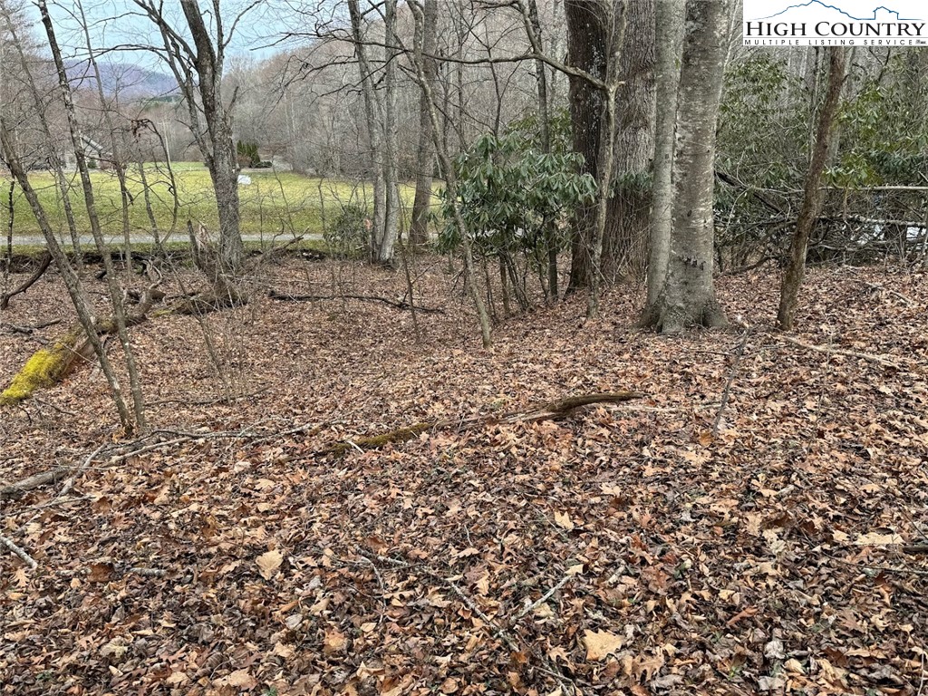 TBD Bald Mountain Road