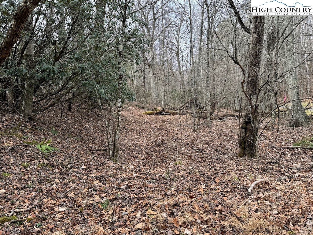 TBD Bald Mountain Road