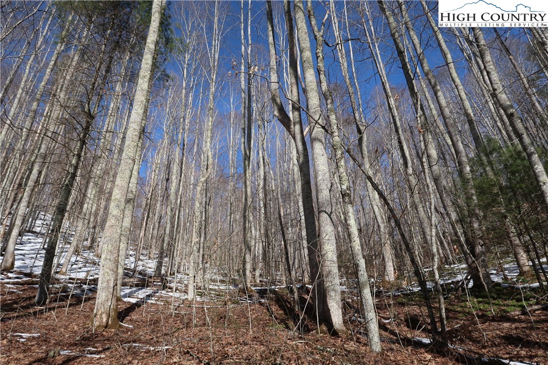 16 Rip Shin and Whenlin Ridge Road