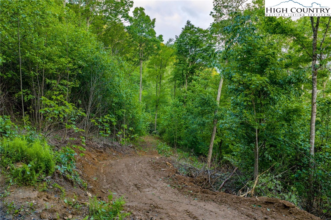 1A Doe Ridge Drive