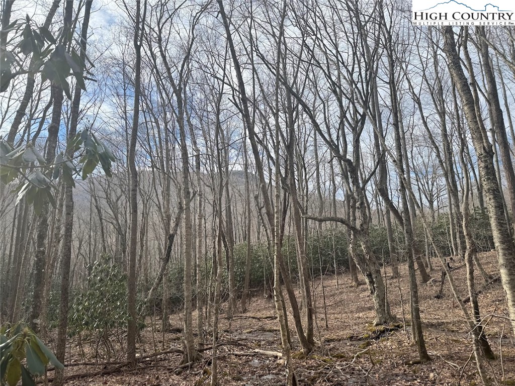 Tract 2 Bald Moutain Road