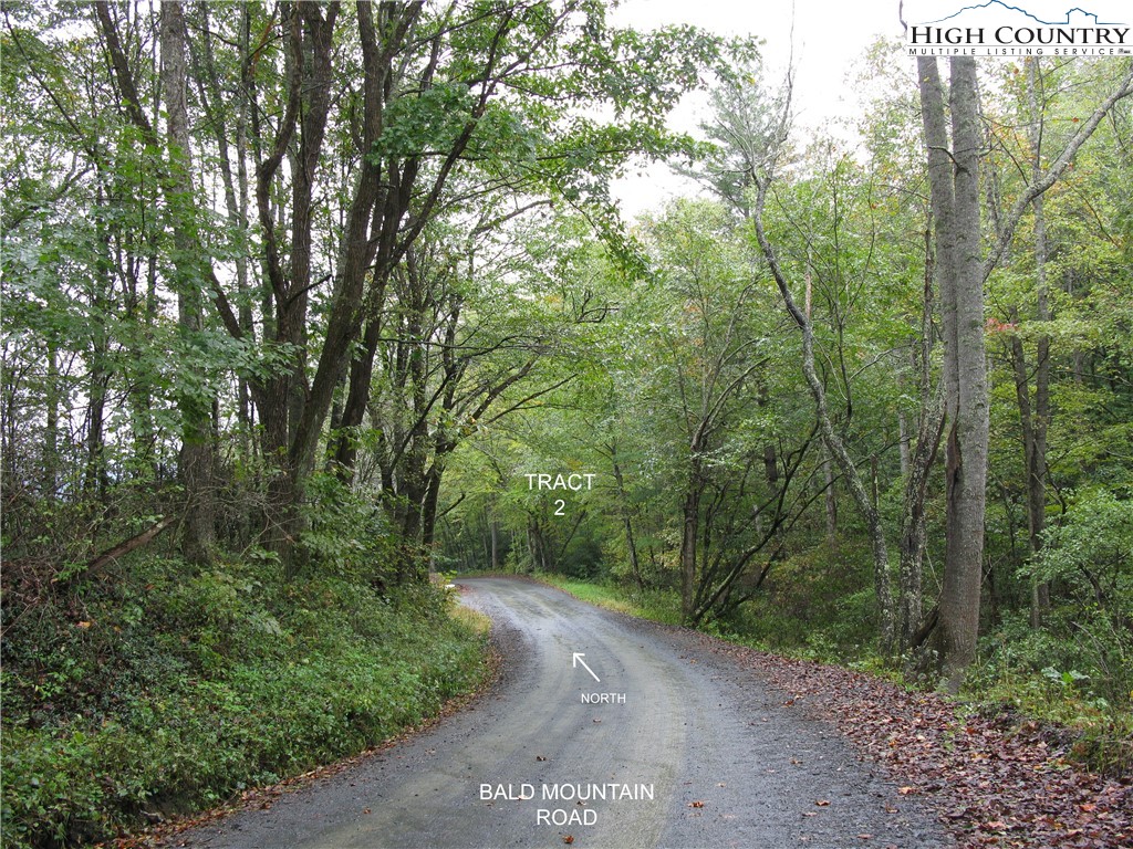 Tract 2 Bald Moutain Road