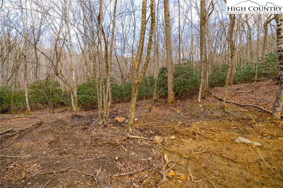 Tract 2 Bald Moutain Road