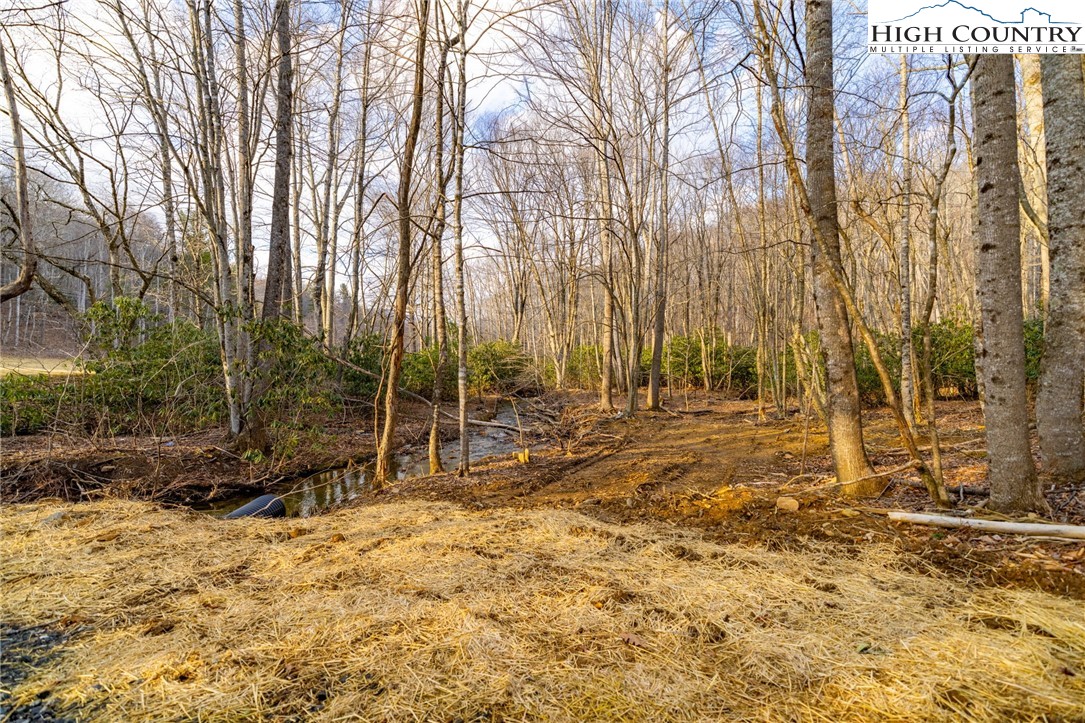 Tract 2 Bald Moutain Road