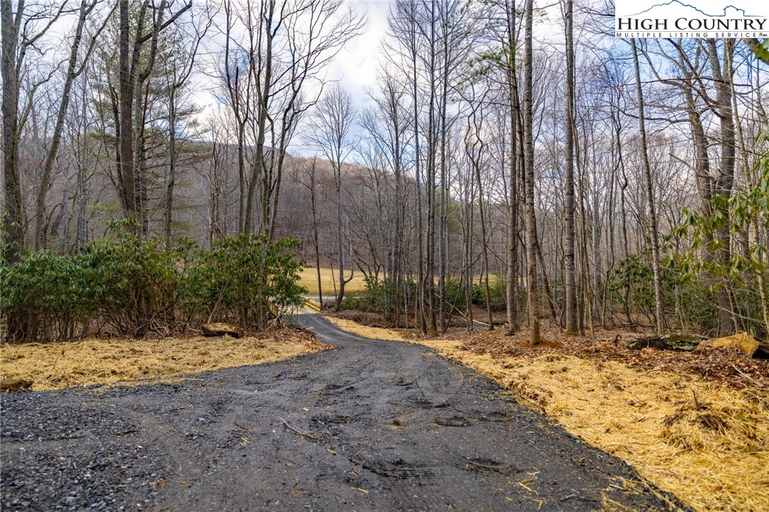 Tract 2 Bald Moutain Road