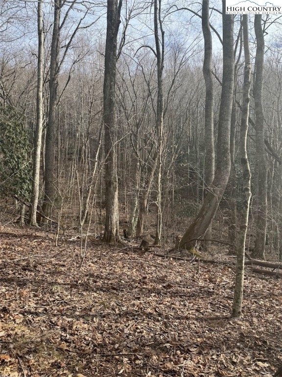 Tract 2 Bald Moutain Road