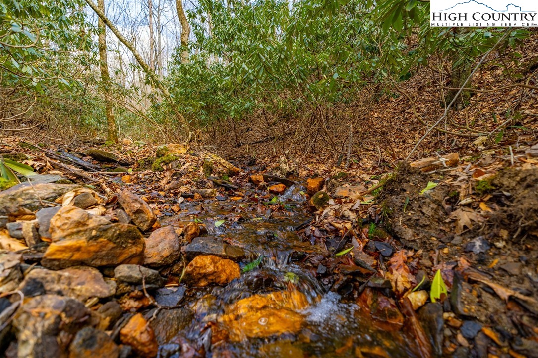 Tract 2 Bald Moutain Road