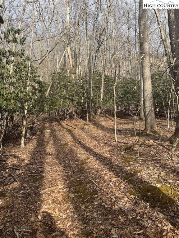 Tract 2 Bald Moutain Road