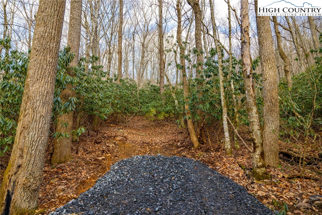 Tract 2 Bald Moutain Road