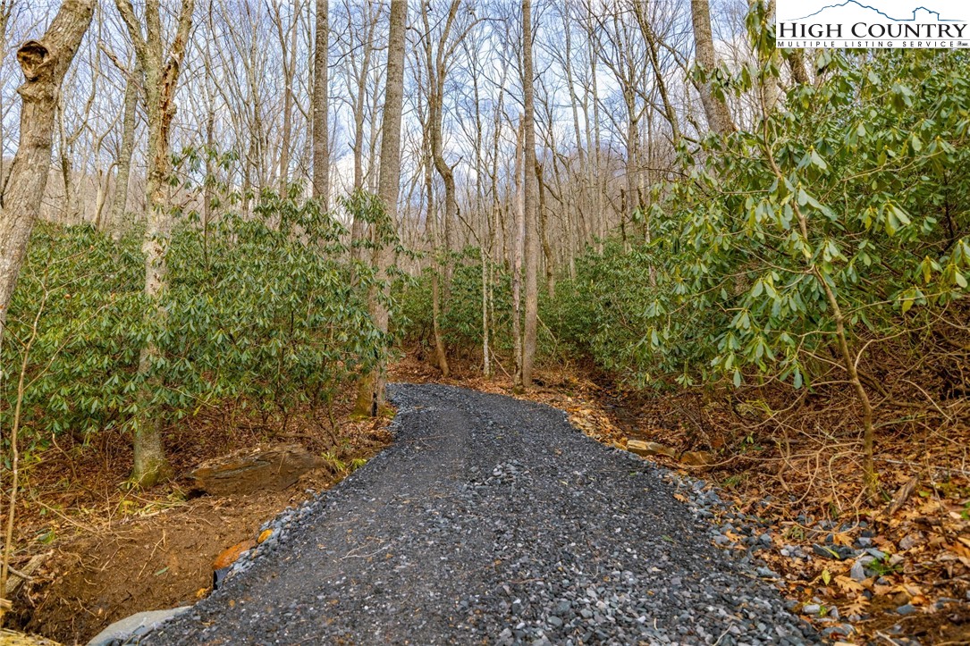 Tract 2 Bald Moutain Road