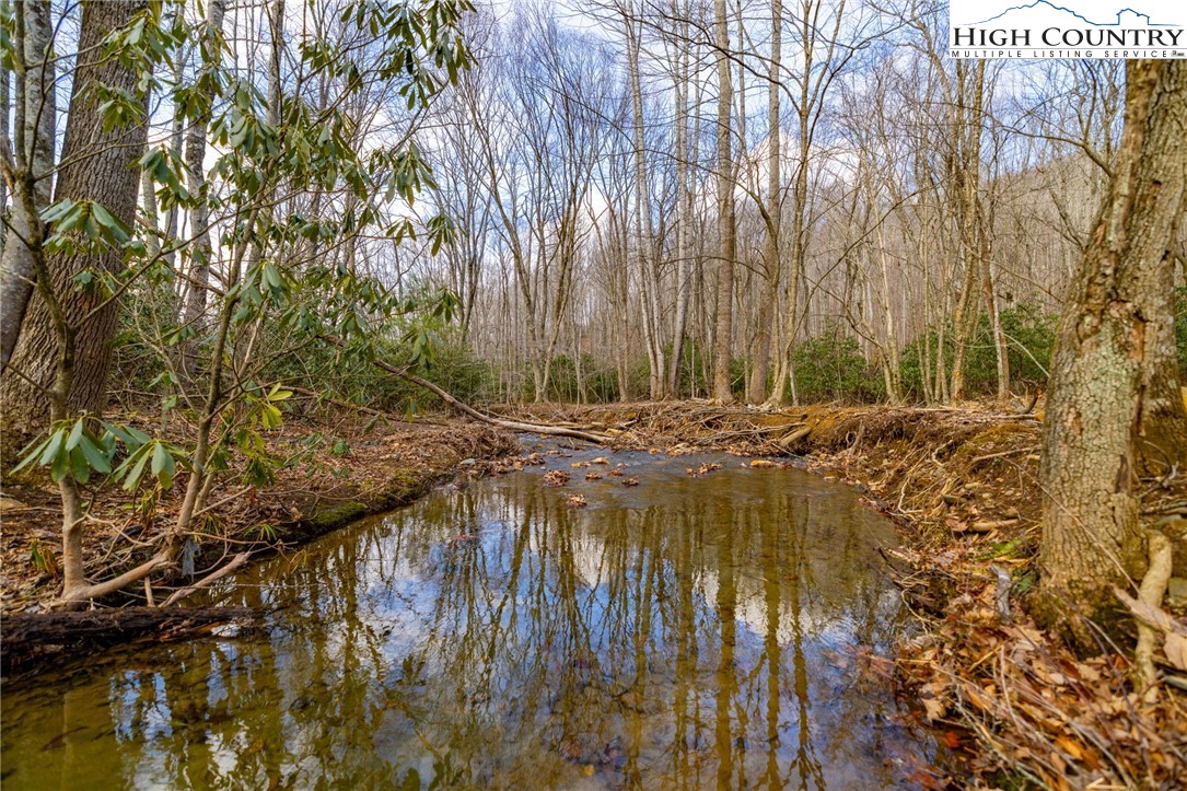 Tract 2 Bald Moutain Road