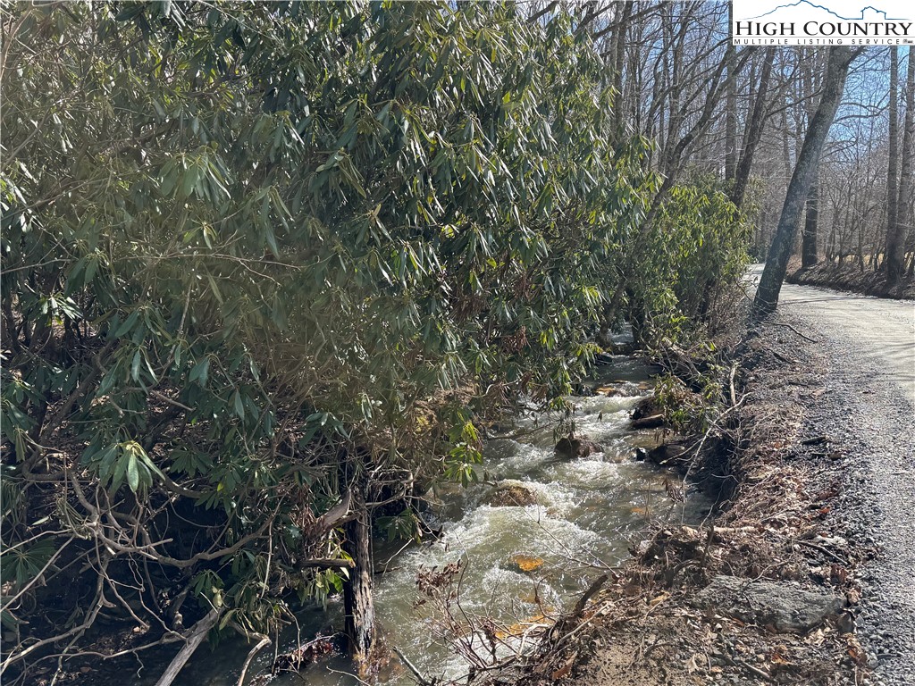 Tract 2 Bald Moutain Road