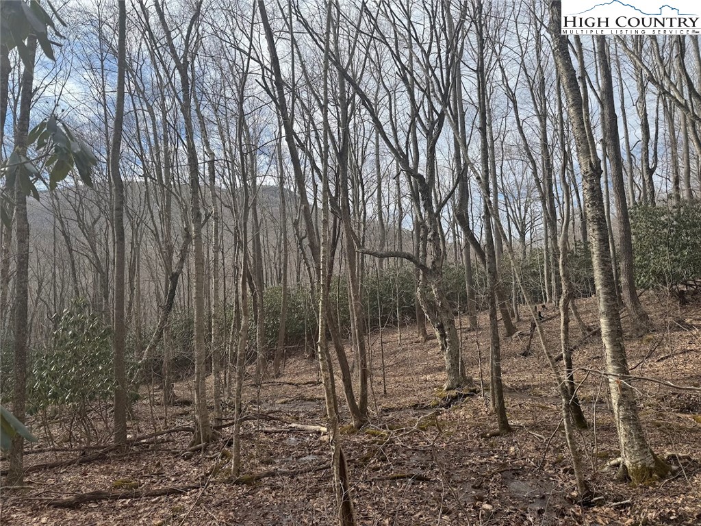 Tract 2 Bald Moutain Road