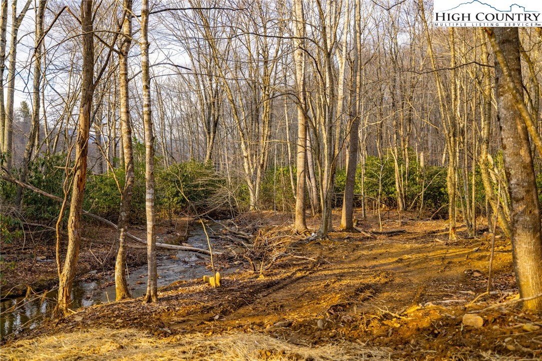 Tract 2 Bald Moutain Road