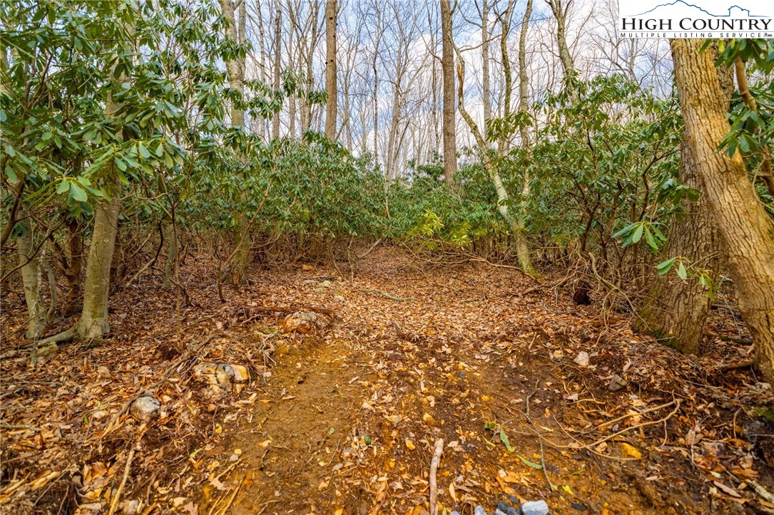 Tract 2 Bald Moutain Road