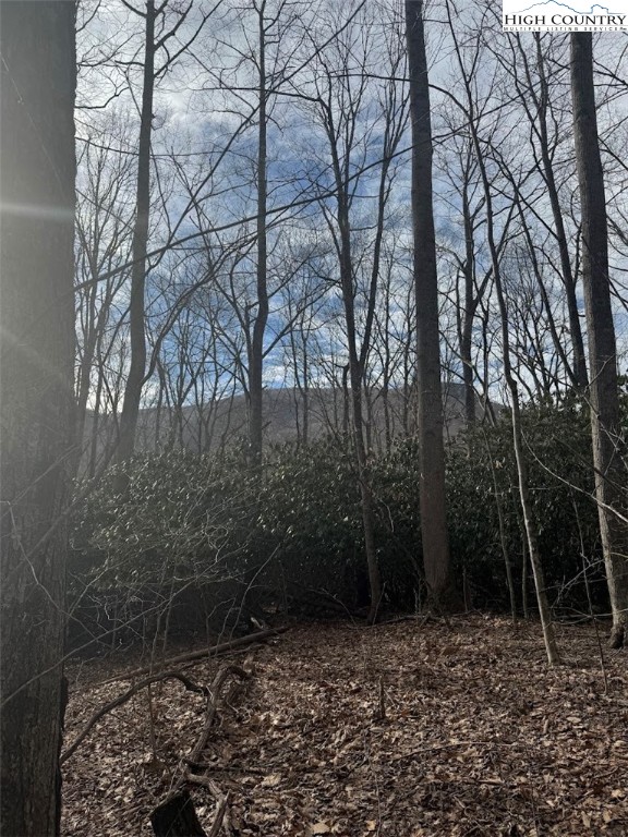 Tract 2 Bald Moutain Road