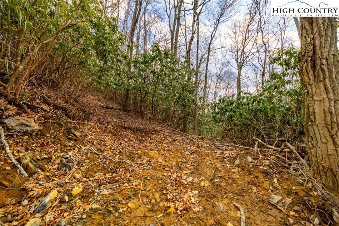 Tract 3 and 1B Bald Mountain Road