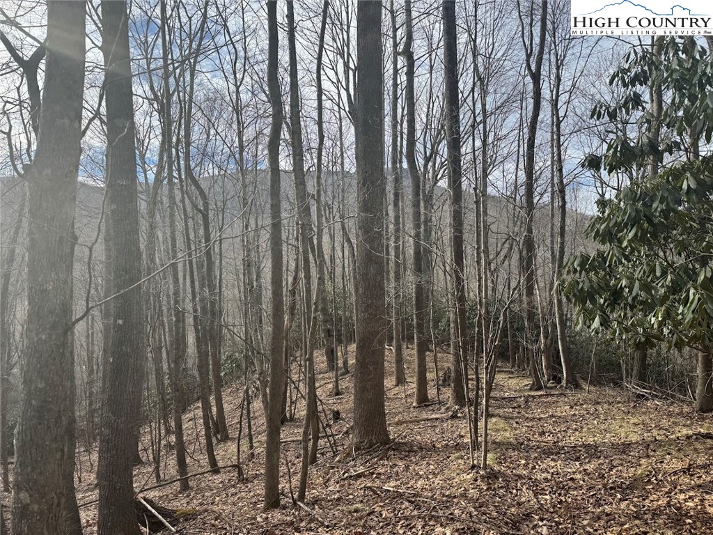 Tract 3 and 1B Bald Mountain Road