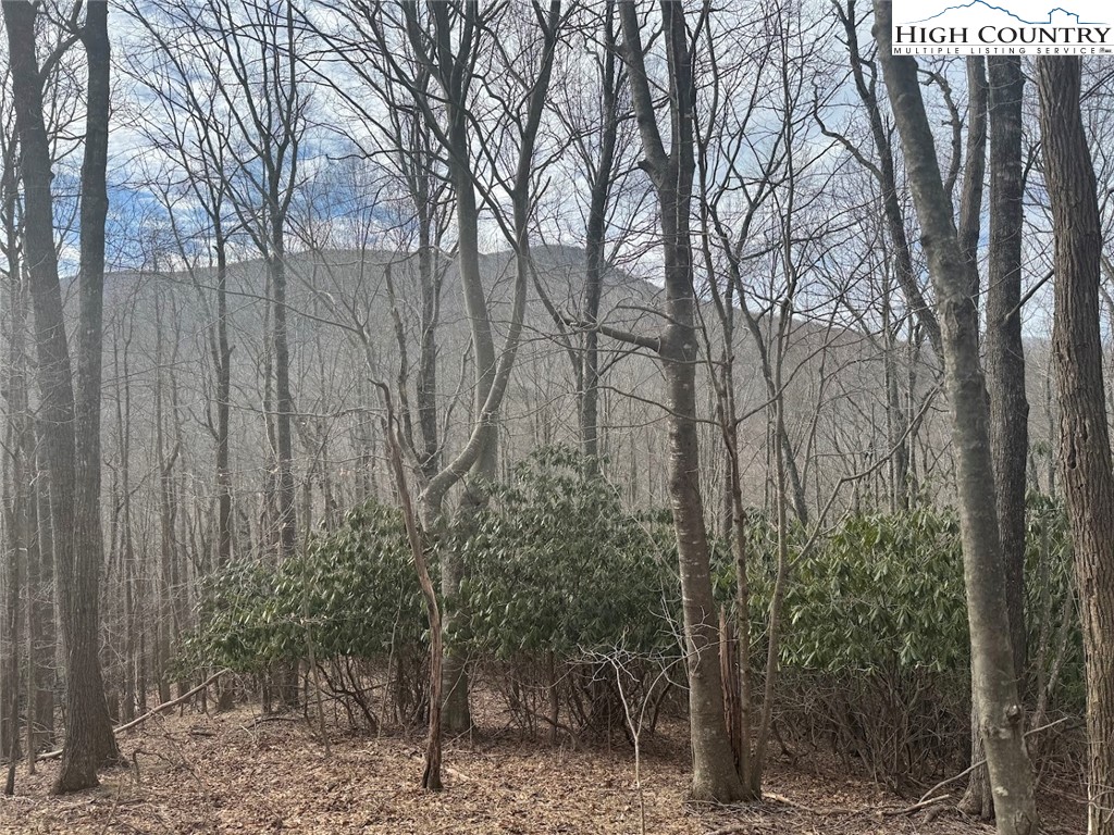 Tract 3 and 1B Bald Mountain Road