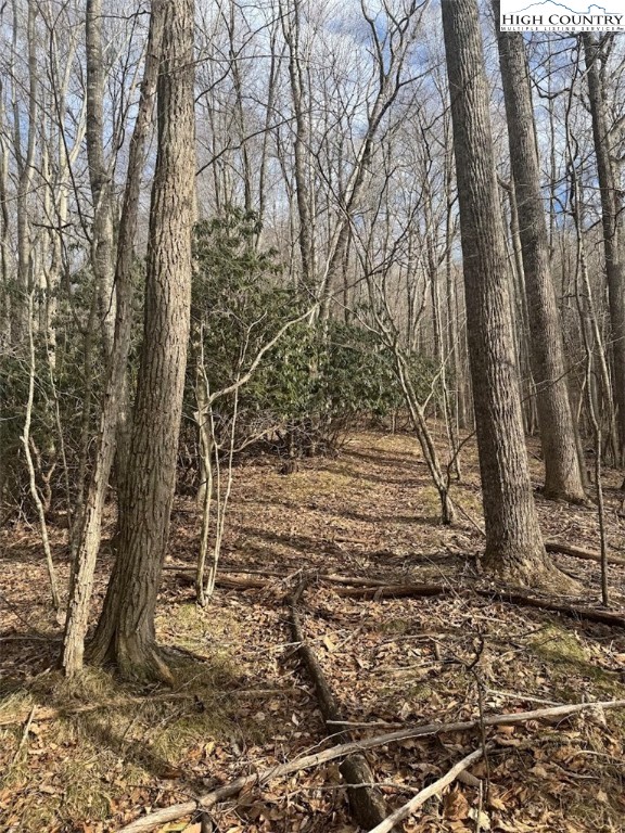 Tract 3 and 1B Bald Mountain Road