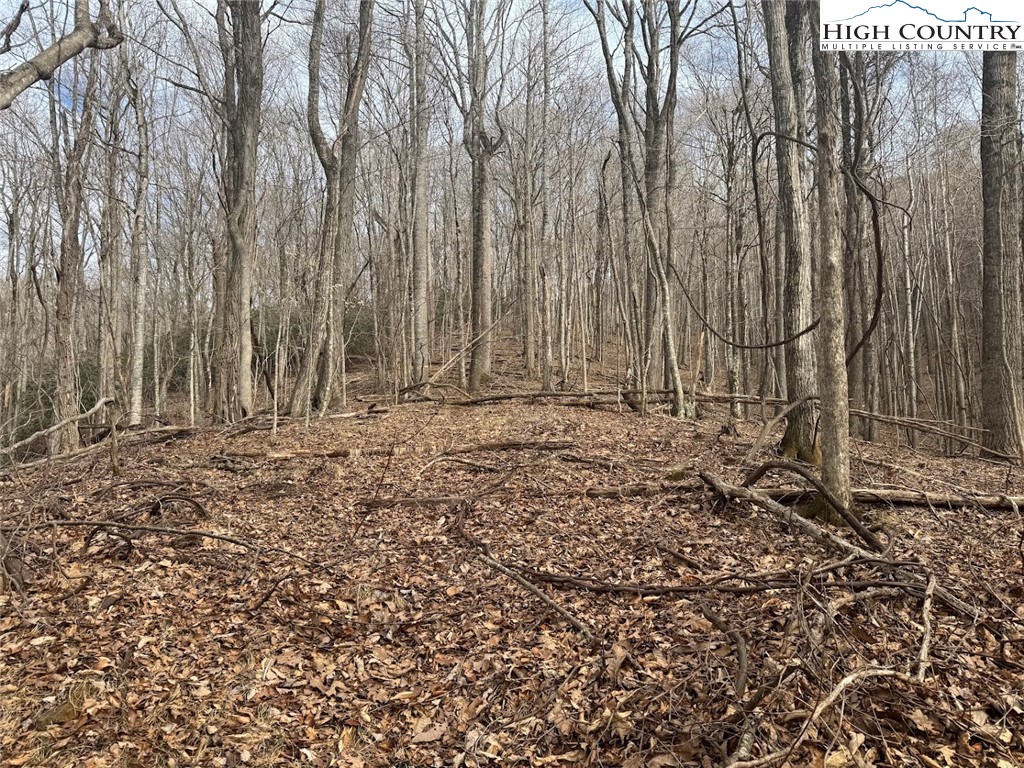 Tract 3 and 1B Bald Mountain Road