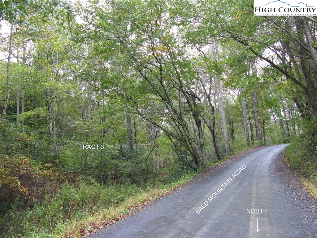 Tract 3 and 1B Bald Mountain Road