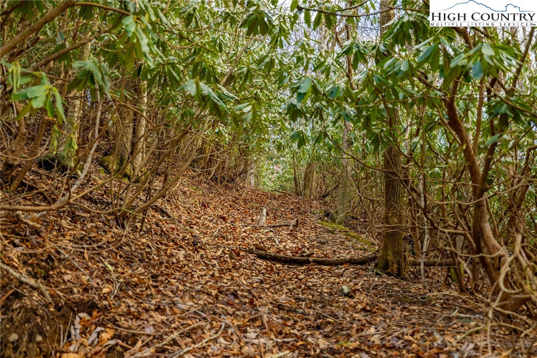 Tract 3 and 1B Bald Mountain Road