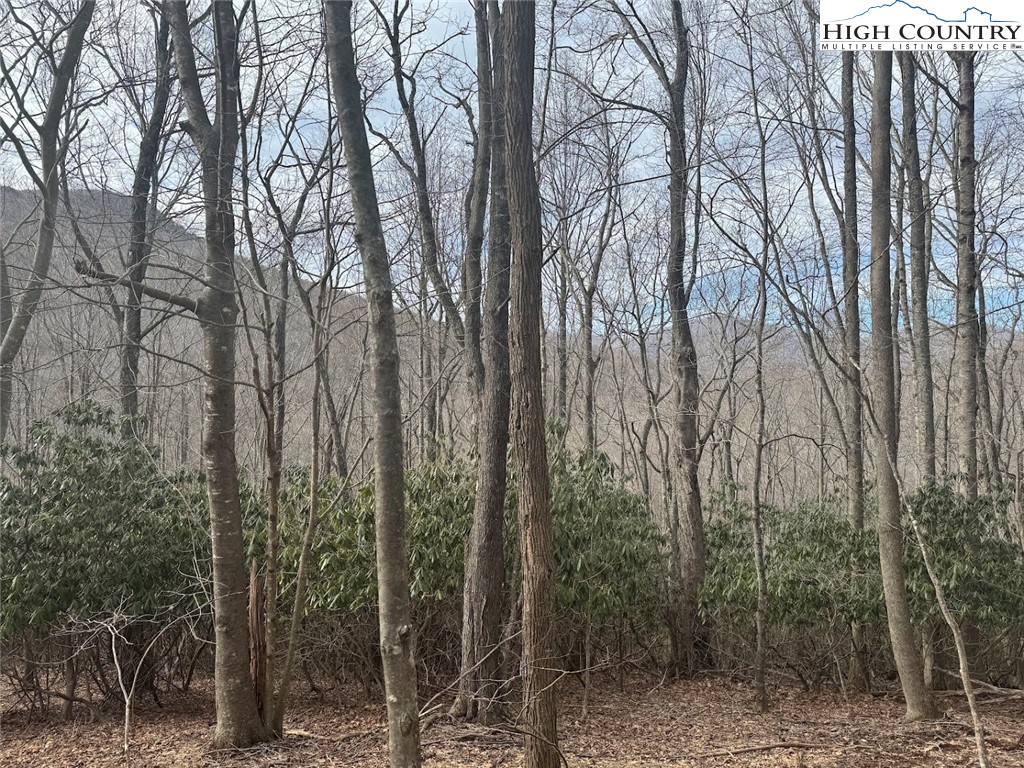 Tract 3 and 1B Bald Mountain Road