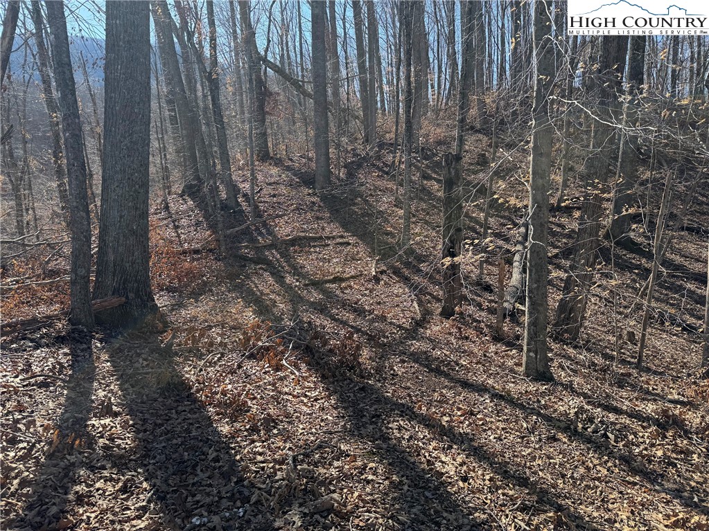 TBD Misty Mountain Road