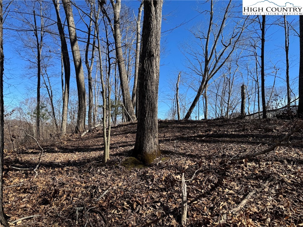 TBD Misty Mountain Road